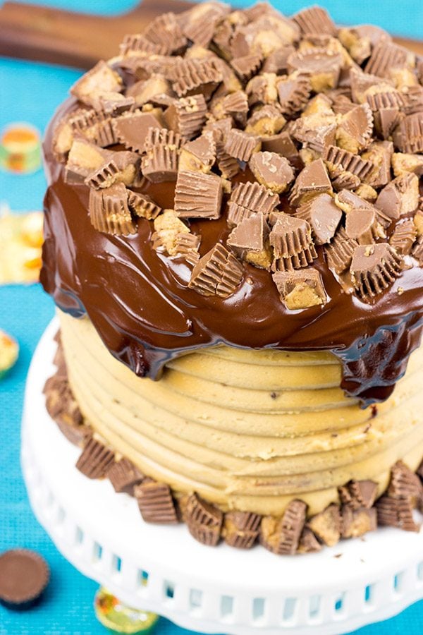 Chocolate Peanut Butter Bundt Cake - Like Mother Like Daughter