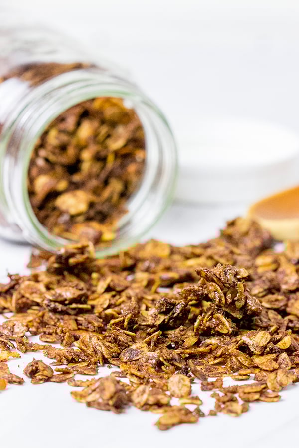 No matter the time of day, this Chocolate Almond Granola is one tasty treat!