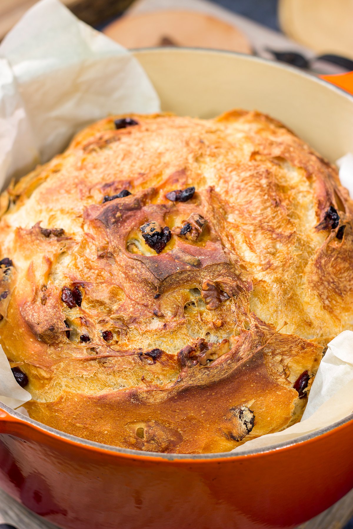 Cranberry Walnut Dutch Oven Bread