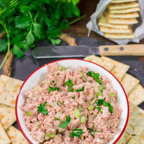This easy Deviled Ham recipe is a tasty spread that tastes great on saltine crackers or in between 2 slices of white bread. It's a great way to use up leftover ham!