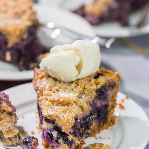 Featuring a sweet custard poured over juicy blueberries, this Blueberry Cream Pie is packed with summer flavor! Grab a slice and enjoy!
