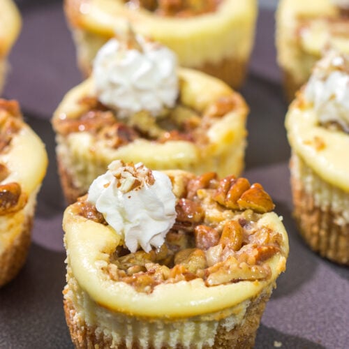 These Mini Pecan Pie Cheesecakes combine creamy cheesecake with crunchy pecan pie topping. This bite-sized dessert is perfect for holiday gatherings!