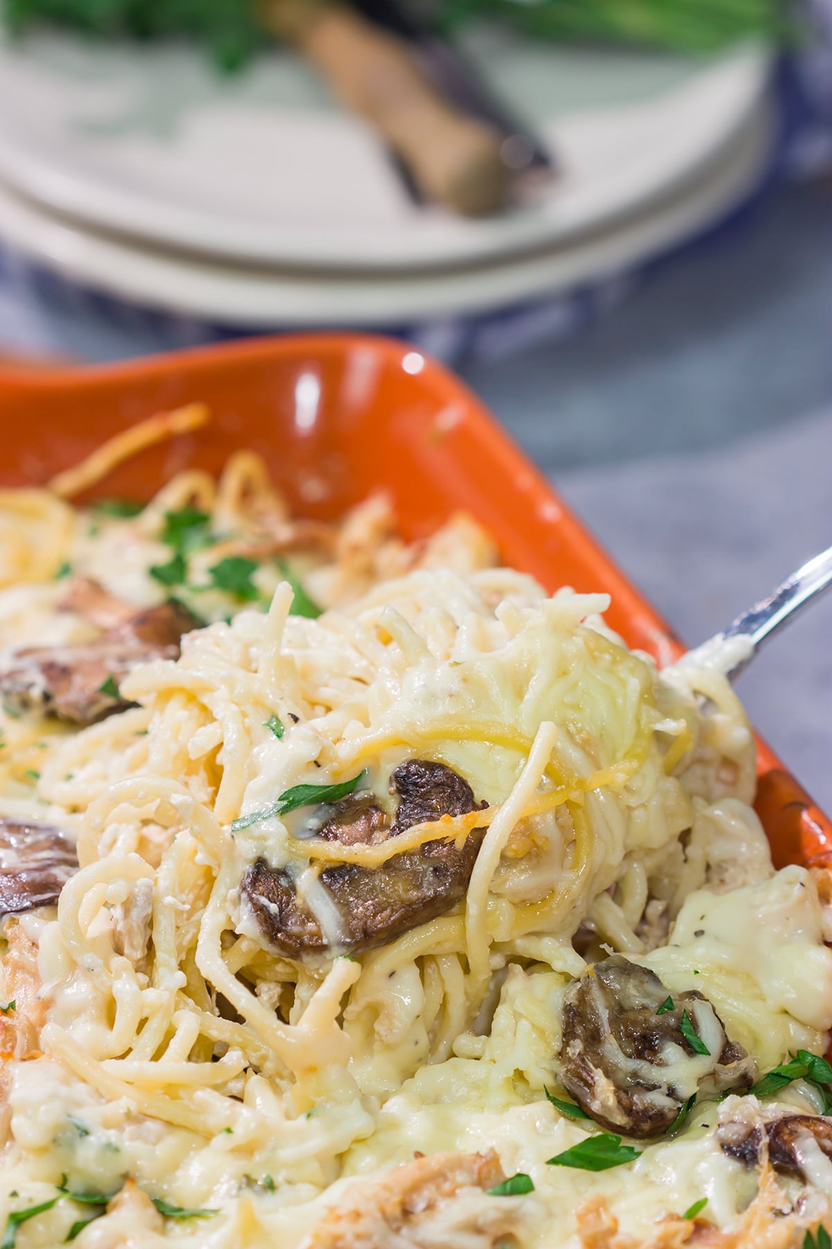 This Chicken Tetrazzini is a baked pasta casserole made with chopped rotisserie chicken, cream sauce and pasta. It's classic comfort food at its best!
