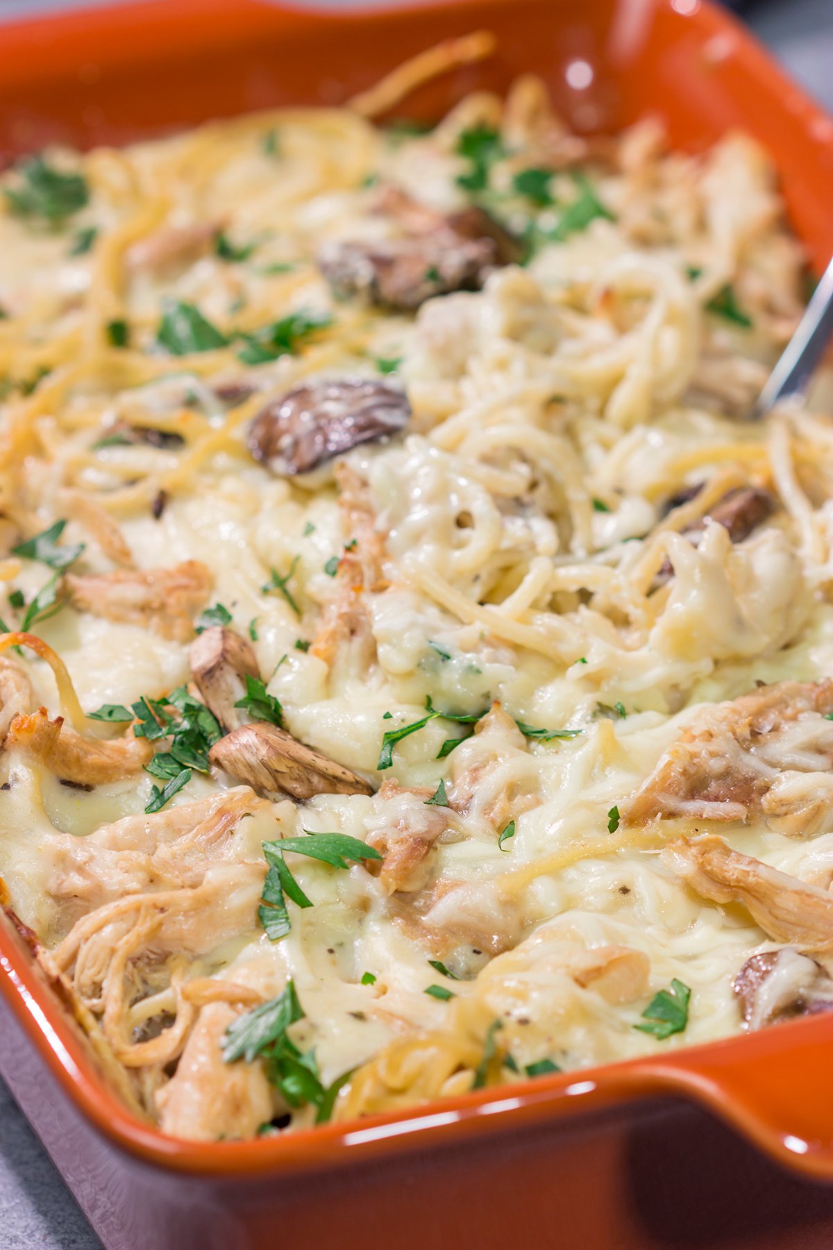 This Chicken Tetrazzini is a baked pasta casserole made with chopped rotisserie chicken, cream sauce and pasta. It's classic comfort food at its best!