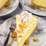 Eggnog Ice Cream Pie