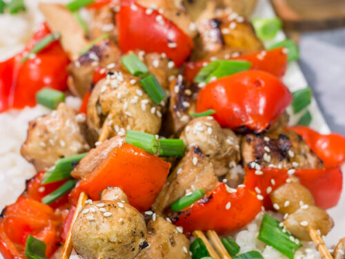 Grilled-Yakitori-Chicken1-