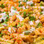 Buffalo Chicken Cheese Fries